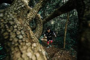 BIB: 
                            <button type="button" onclick="openModal(25704533)" class="btn btn-primary btn-sm float-right btn-popup" data-toggle="modal" data-target=".modal-high-quality">
                        <i class="fas fa-shopping-cart"></i> Add to Cart
                    </button>
                                            <button type="button" onclick="isThisMe(25704533, true)" class="btn btn-success btn-sm float-right btn-popup btn-isme hidden" data-toggle="tooltip" data-placement="bottom" title="นี่คือรูปของคุณใช่ไหม คลิกที่นี่เพื่อเอาเข้าอัลบั้ม">
                        <i class="fas fa-plus"></i> Add to album
                    </button>
                    <button type="button" onclick="isThisMe(25704533, false)" class="btn btn-warning btn-sm float-right btn-popup btn-isnotme hidden">
                        <i class="fas fa-ban"></i> Remove from album
                    </button>